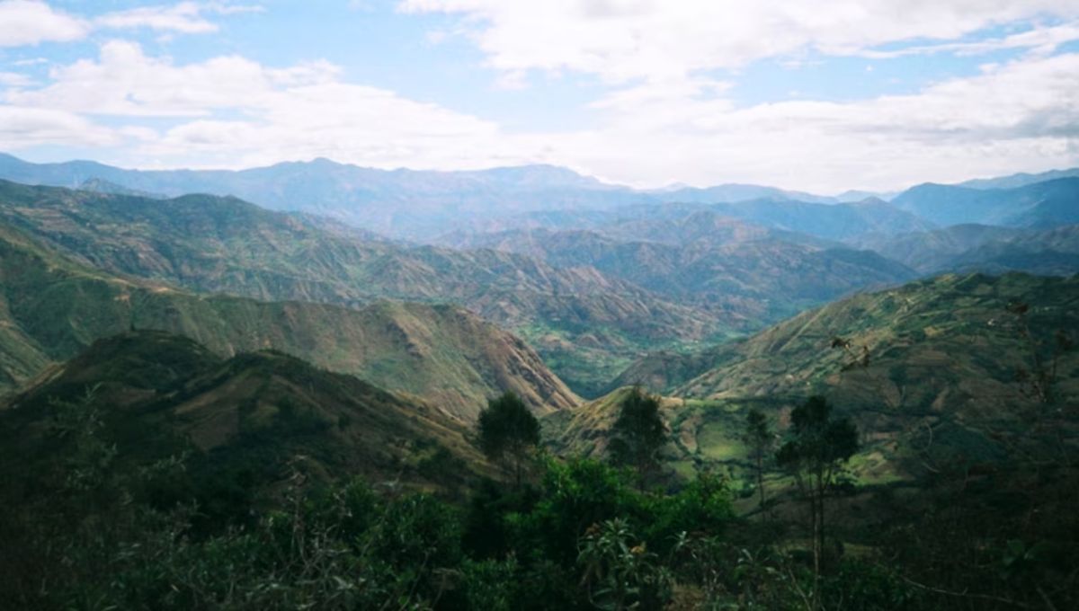 Los Andes ecuatorianos son considerados como un tesoro para la biodiversidad