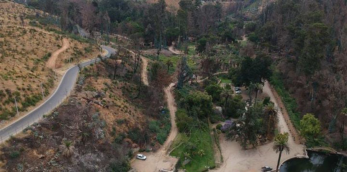 El verde se ha vuelto a apoderar de gran parte de las 400 hectáreas. El verde se ha vuelto a apoderar de gran parte de las 400 hectáreas.