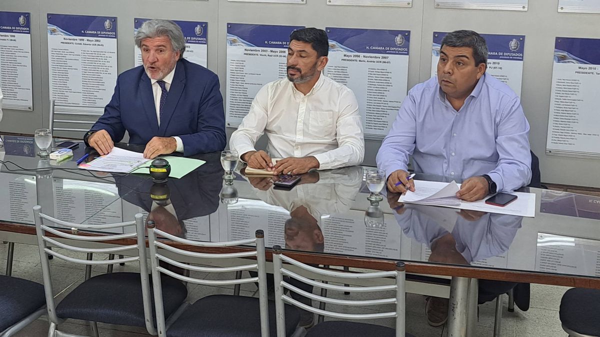 La comisión de Derechos y Garantías de la Cámara de Diputados de la Legislatura de Mendoza es presidida por José Luis Ramón. La comisión de Derechos y Garantías de la Cámara de Diputados de la Legislatura de Mendoza es presidida por José Luis Ramón.