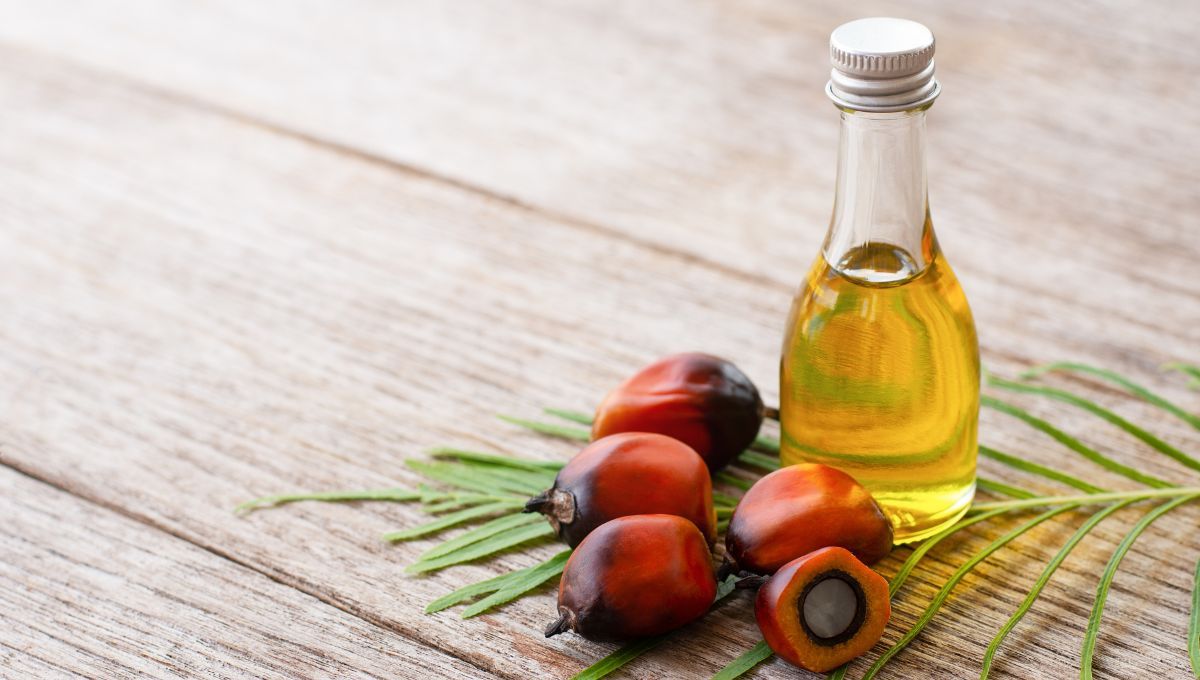 Aceite de palma. Aceite de palma.