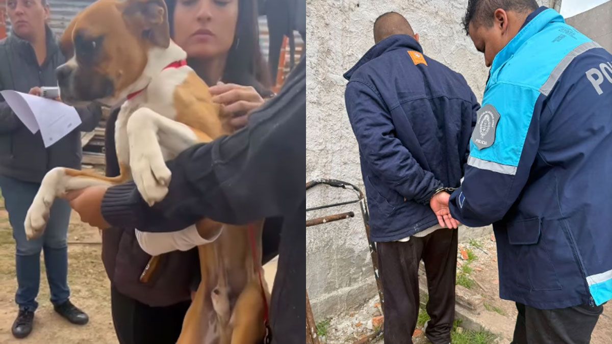 Esteban Lucio Vargas fue denunciado por vecinos por maltrato animal y rápidamente fue detenido. Esteban Lucio Vargas fue denunciado por vecinos por maltrato animal y rápidamente fue detenido.