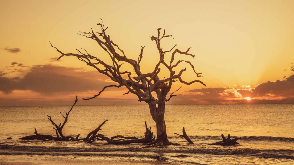 Esta magnífica playa de Georgia ofrece los atardeceres más imponentes. Esta magnífica playa de Georgia ofrece los atardeceres más imponentes.