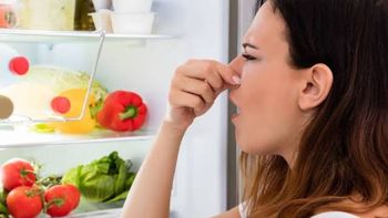 Cuántas cucharadas de bicarbonato se necesitan para eliminar el mal olor de la heladera