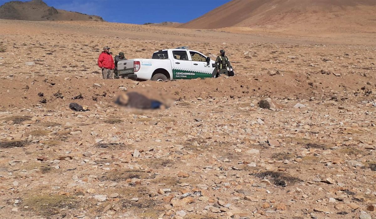 La imagen difundida por Gendarmería Nacional.