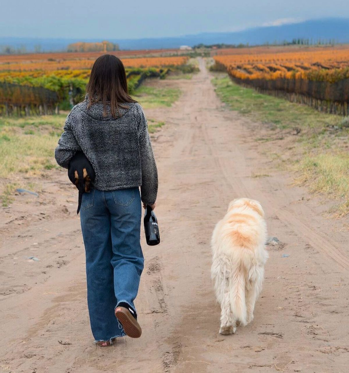 Los animales pueden generar comunidad, asegura Bianca Ramonda. Y ella eligió el vino, un producto típico mendocino, para darle un plus a los videos de sus animales. Los animales pueden generar comunidad, asegura Bianca Ramonda. Y ella eligió el vino, un producto típico mendocino, para darle un plus a los videos de sus animales.