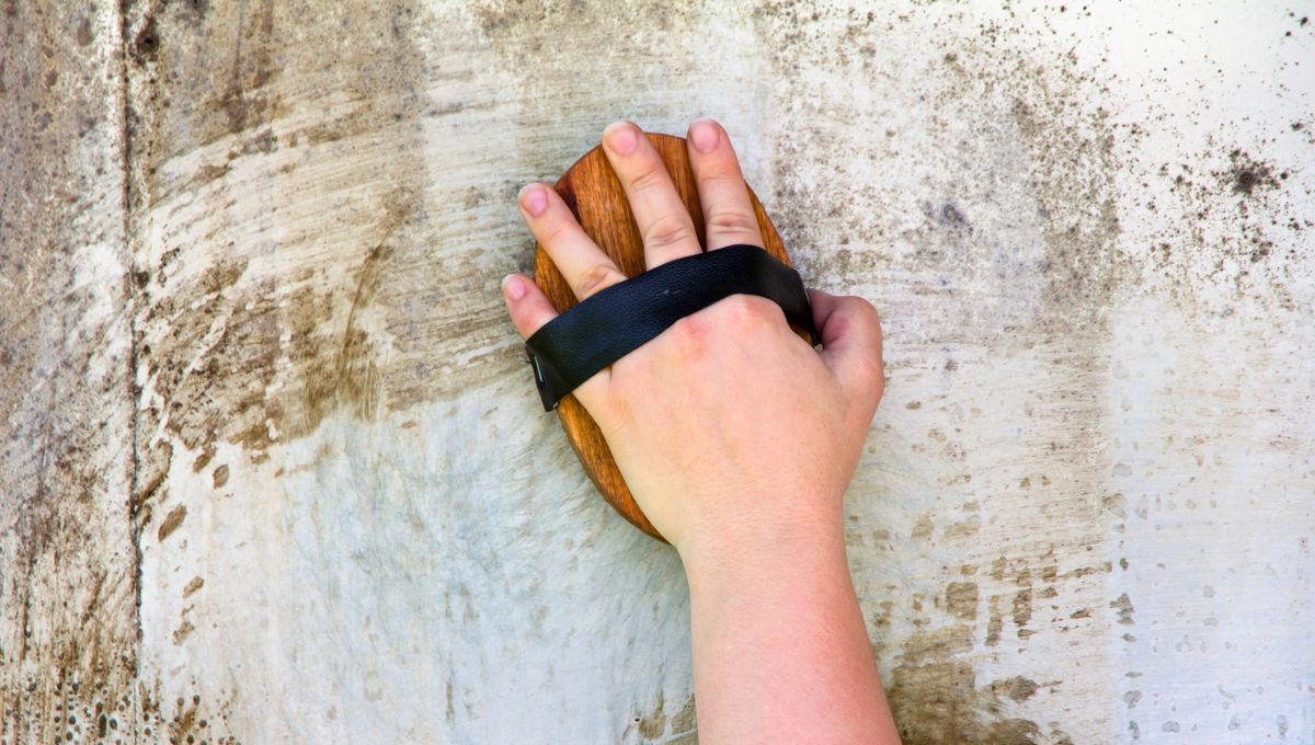 La sparedes son la carta de presentación de toda casa. Es importante mantenerlas impecables