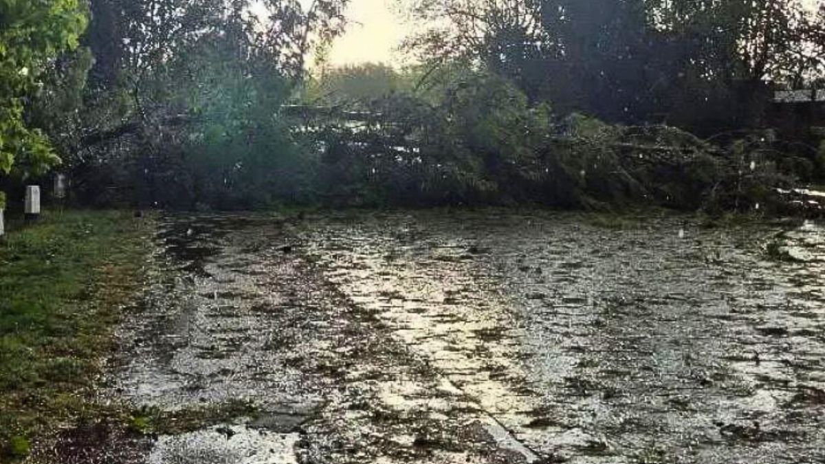 Evitá salir durante un alerta. Evitá salir durante un alerta.