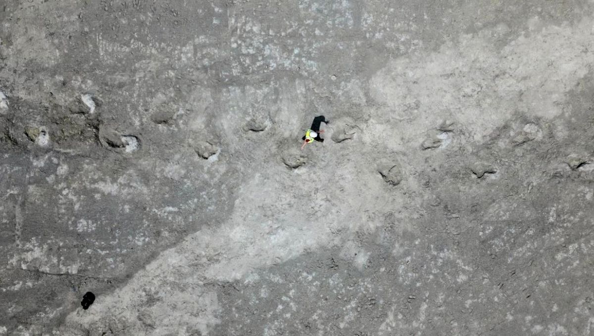 El descubrimiento de este yacimiento fue realizado por dos prestigiosas universidades