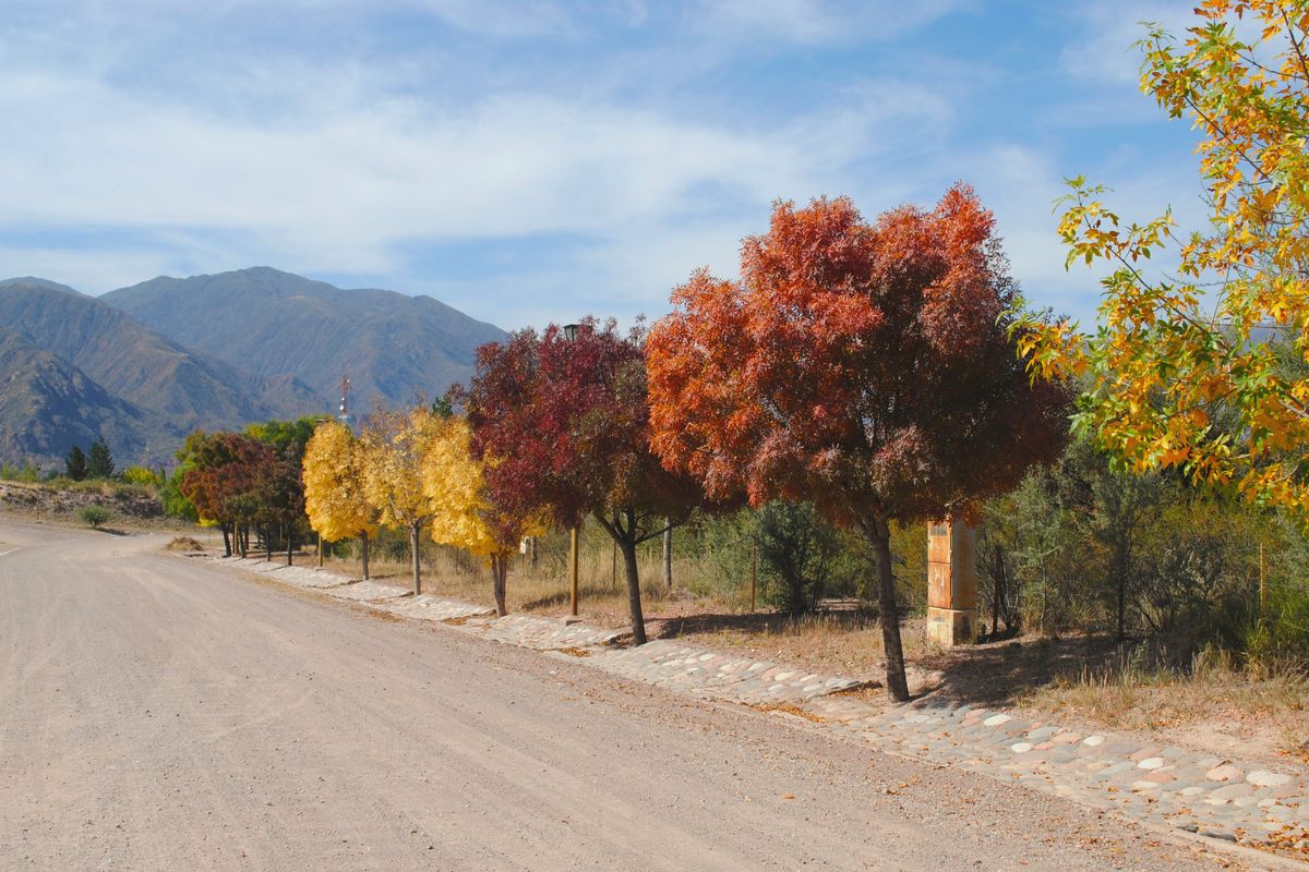 El pronóstico del tiempo en Mendoza anunció un Jueves Santo para disfrutar al aire libre. El otoño está en su esplendor. El pronóstico del tiempo en Mendoza anunció un Jueves Santo para disfrutar al aire libre. El otoño está en su esplendor.