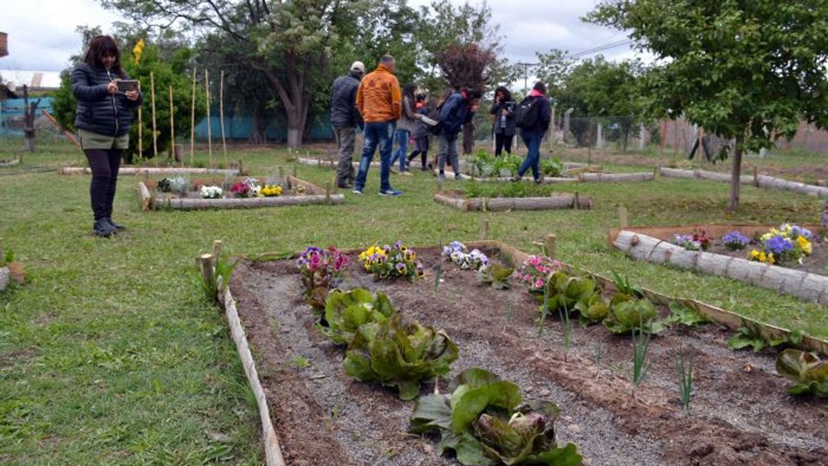 La municipalidad de Guaymallén comienza desde este martes una nueva entrega de semillas para huertas agroecológicas. Cómo conseguirlas.
