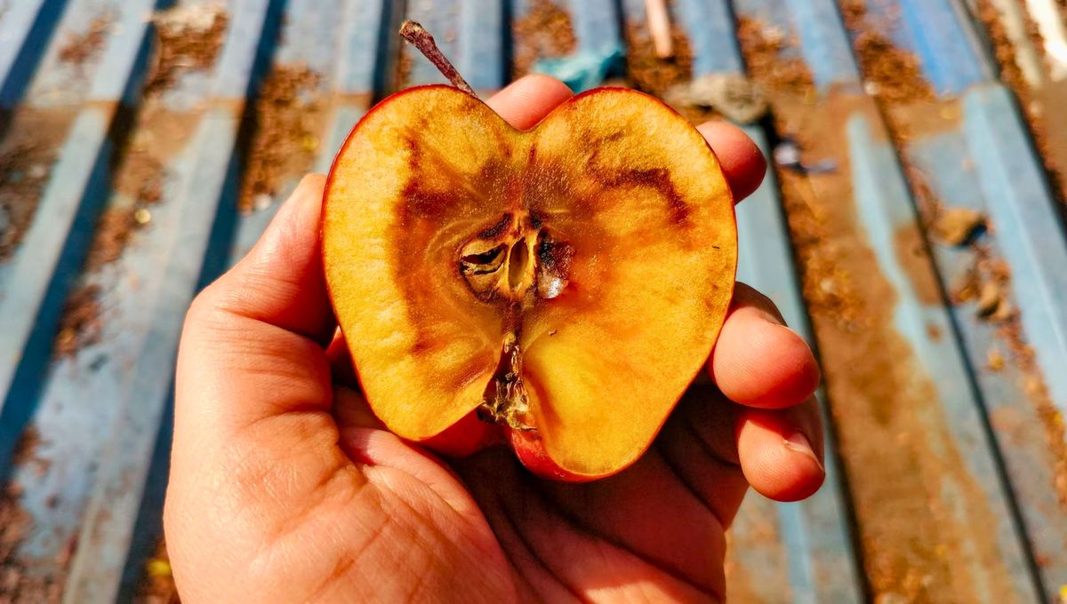 El truco casero de cocina para que las manzanas no se pongan marrones