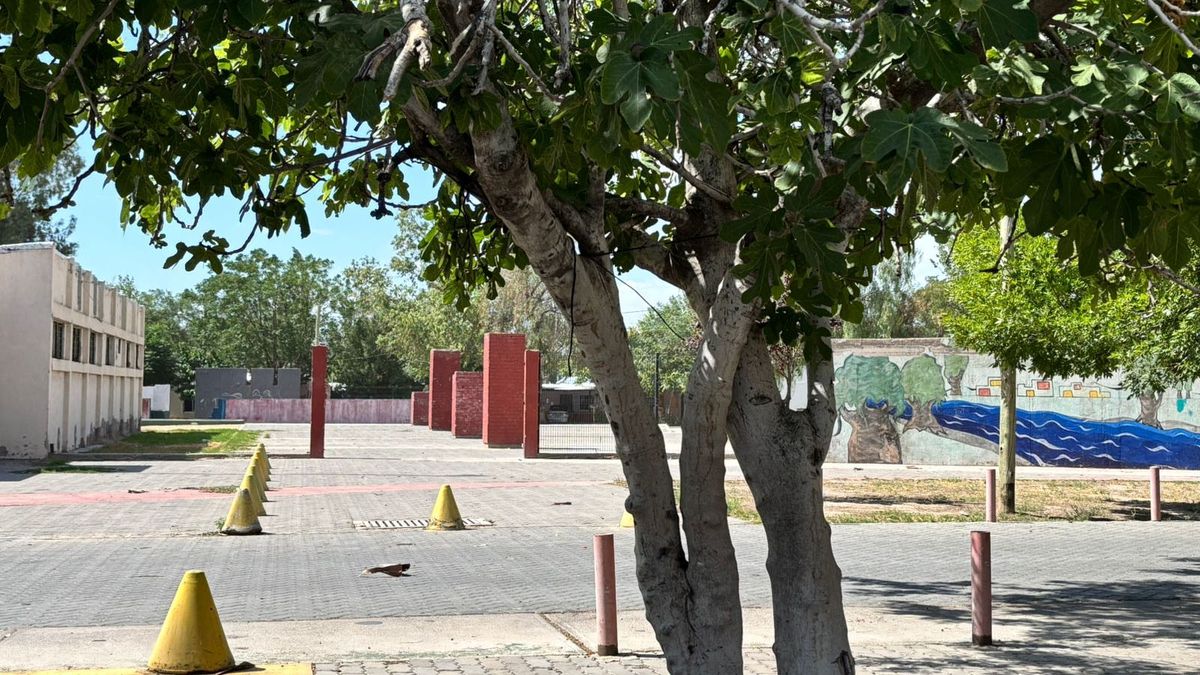 En la higuera quedaron las cuerdas con las que un hombre mató a su perro en Las Heras. La causa es investigada como averiguación de maltrato infantil. En la higuera quedaron las cuerdas con las que un hombre mató a su perro en Las Heras. La causa es investigada como averiguación de maltrato infantil.