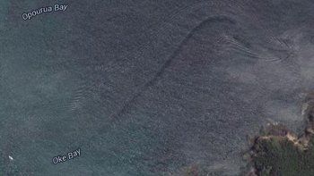 Captaron el rastro de una extraña criatura en Nueva Zelanda