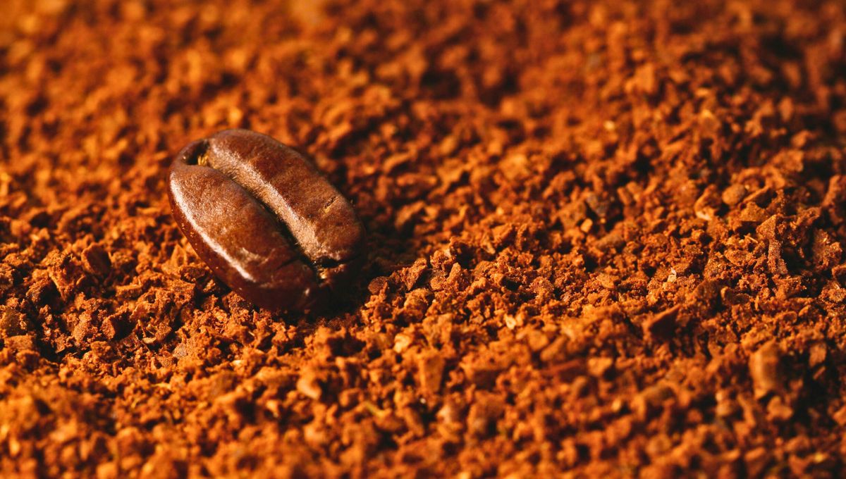 Que tu heladera pierda el mal olor usando café de esta manera