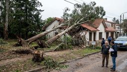 Dos árboles cayeron sobre su casa durante un temporal y ahora deben indemnizarlo con $5.900.000