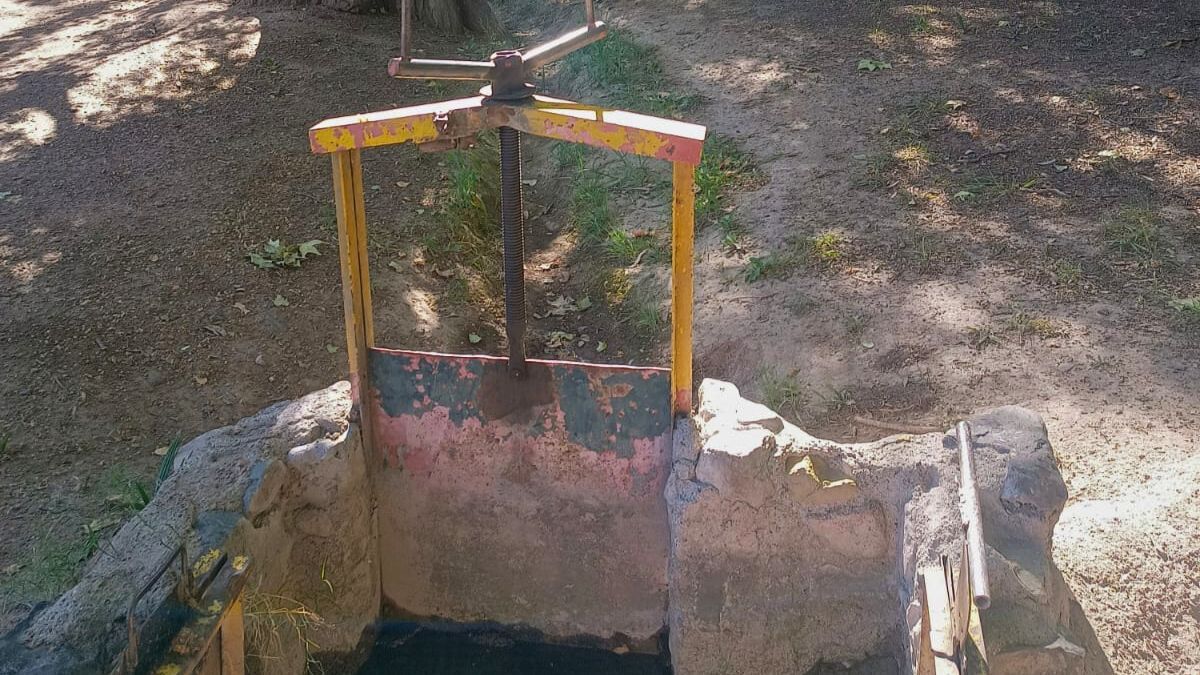 Las pequeñas compuertas y la función de los tomeros, que distribuyen el agua en Mendoza. Toda una novedad para visitantes del país y del mundo. Las pequeñas compuertas y la función de los tomeros, que distribuyen el agua en Mendoza. Toda una novedad para visitantes del país y del mundo.