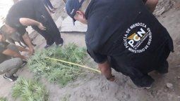 Cayó una pareja con droga y armas
