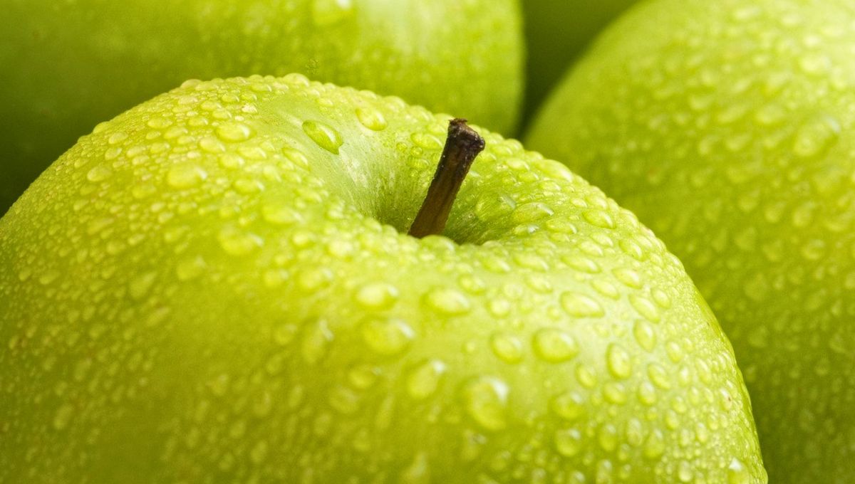 No poseen tantas diferencias en cuando a sus nutrientes y beneficios. No poseen tantas diferencias en cuando a sus nutrientes y beneficios.