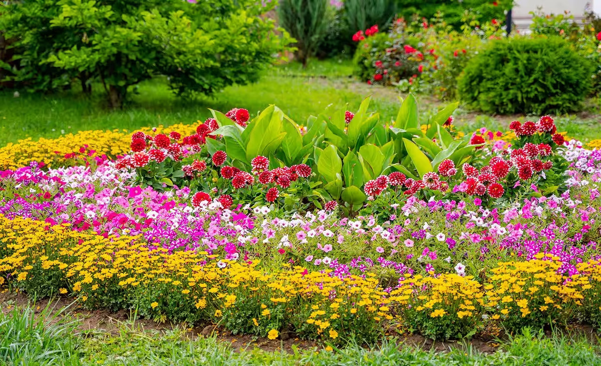 Tu jardín puede pasar el verano sin problemas.