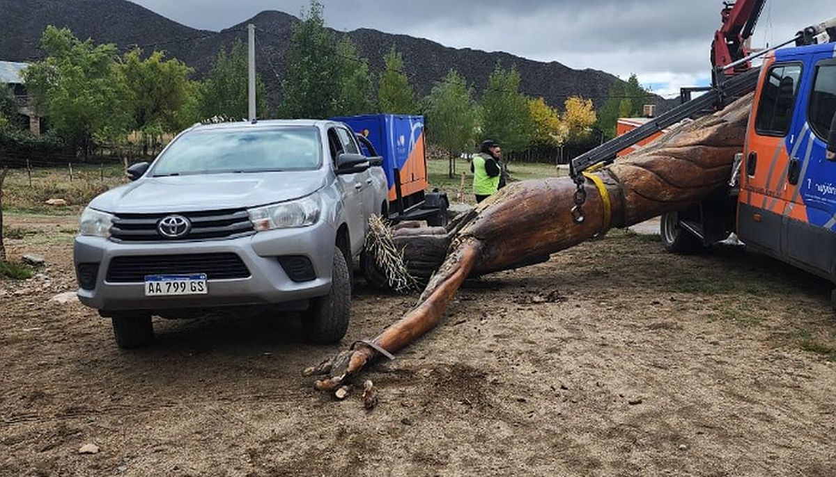 La imagen del Cristo del Manzano Histórico se desplomó desde una grúa. Foto publicada por El Cuco Digital.