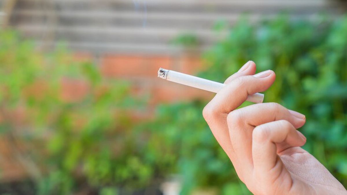 Despuntar del vicio se hace más caro en Argentina. Despuntar del vicio se hace más caro en Argentina.