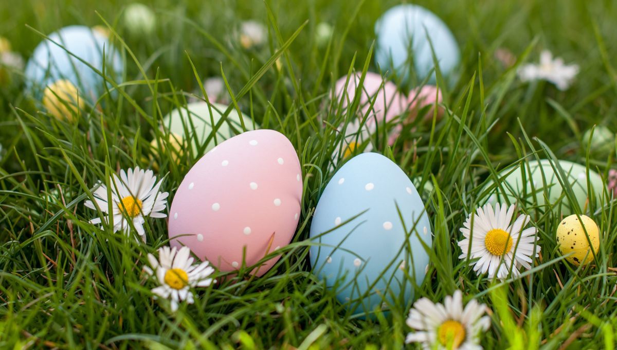 Huevos de Pascuas. Huevos de Pascuas. 