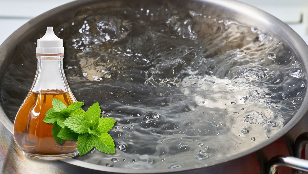 Un truco con menta y vinagre muy sencillo, barato y efectivo.&nbsp;