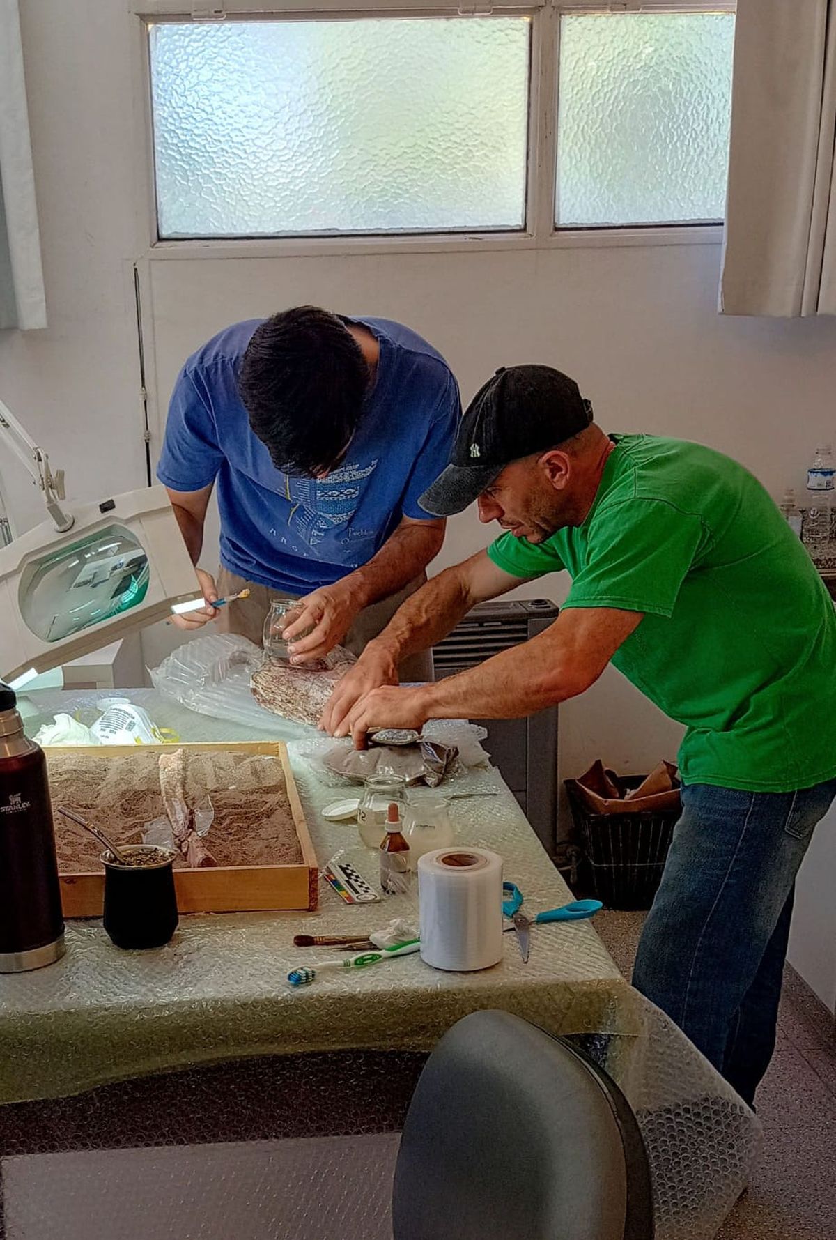 Investigadores del país y del resto del mundo visitan el Museo Moyano de Mendoza para estudiar los fósiles de este dinosaurio. Investigadores del país y del resto del mundo visitan el Museo Moyano de Mendoza para estudiar los fósiles de este dinosaurio.