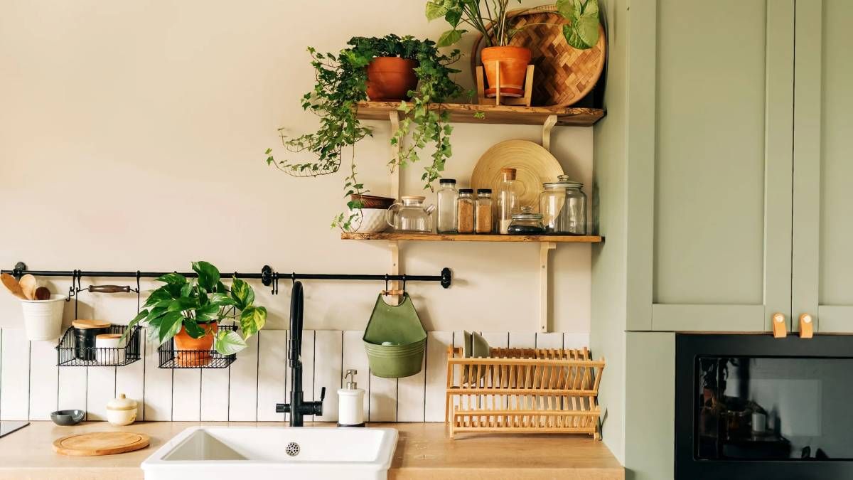 3 cosas que tiene que tener tu cocina de tu hogar para atraer la abundancia y prosperidad