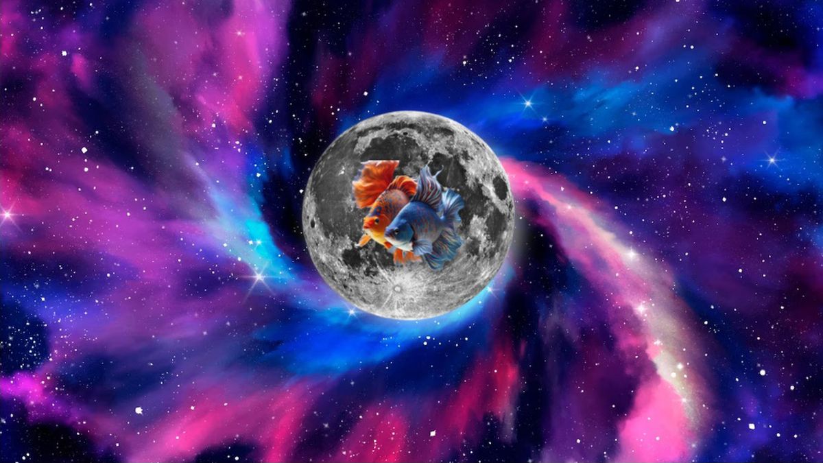 Luna en Piscis: las predicciones astrológicas para los 12 signos del zodiaco
