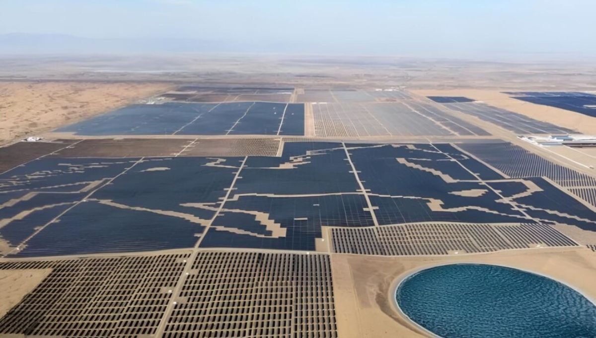 China está convirtiendo el desierto en un oasis: domestican la desertificación con paneles solares