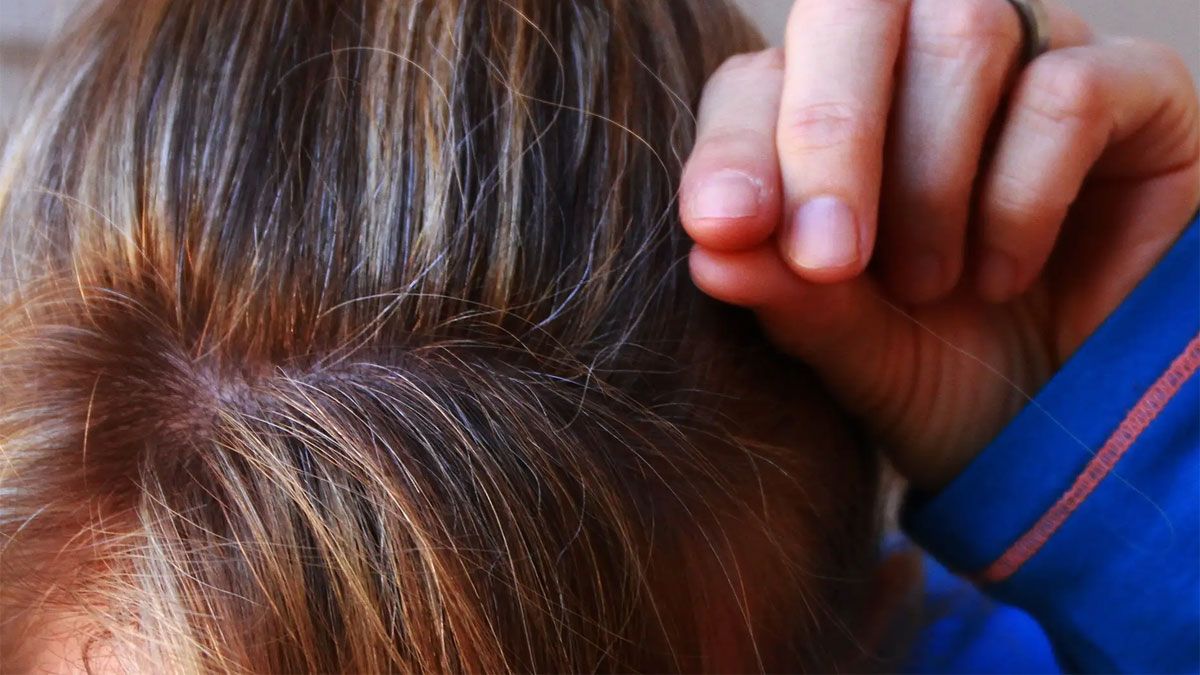 Descubre cómo tapar las canas utilizando una planta.