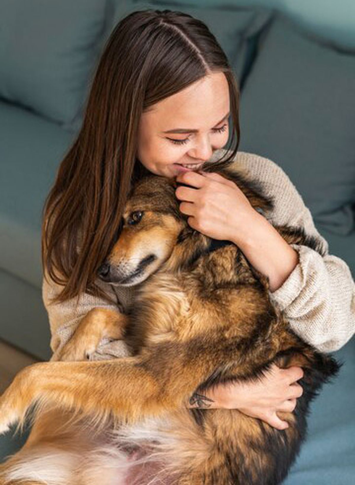 No es una buena idea que los humanos abracen a los perros. No es una buena idea que los humanos abracen a los perros.