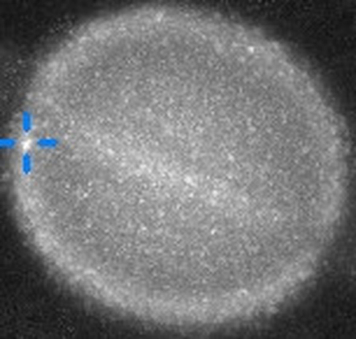 El área en la que se produjo el impacto que sorprendió a los científicos. El área en la que se produjo el impacto que sorprendió a los científicos.