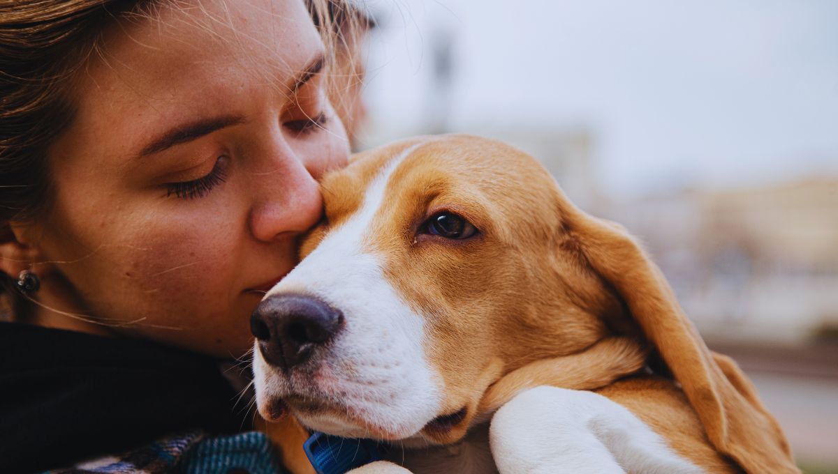 Sobrevivir al duelo: consejos para gestionar el dolor por la pérdida de una mascota