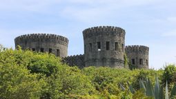 El castillo que tiene inspitación en Irlanda y está en el costa de Florida&nbsp;