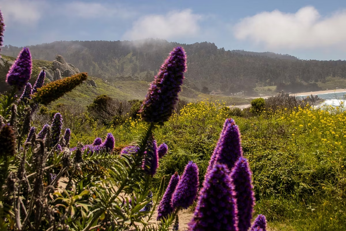 El paisaje de esta playa nos quedará grabado para siempre. El paisaje de esta playa nos quedará grabado para siempre.