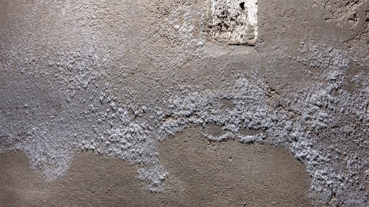 Las paredes de la casa suelen tener presencia de salitre por culpa de la humedad.