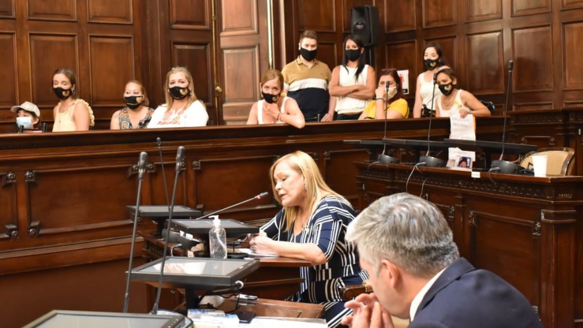 La Ley de Oncopediatría fue aprobada en Diputados