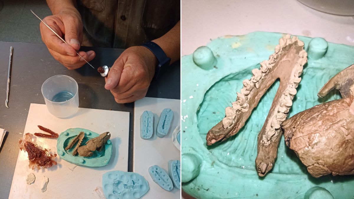 Recientemente, científicos tucumanos visitaron el museo de Mendoza para investigar material fósil de mamíferos alojados allí. Recientemente, científicos tucumanos visitaron el museo de Mendoza para investigar material fósil de mamíferos alojados allí.