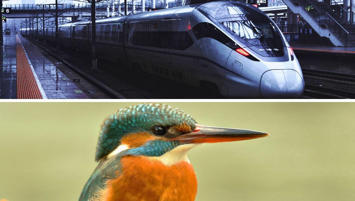 Nakatsu rediseñó la parte frontal del tren inspirándose en el pico del martín pescador. Nakatsu rediseñó la parte frontal del tren inspirándose en el pico del martín pescador.