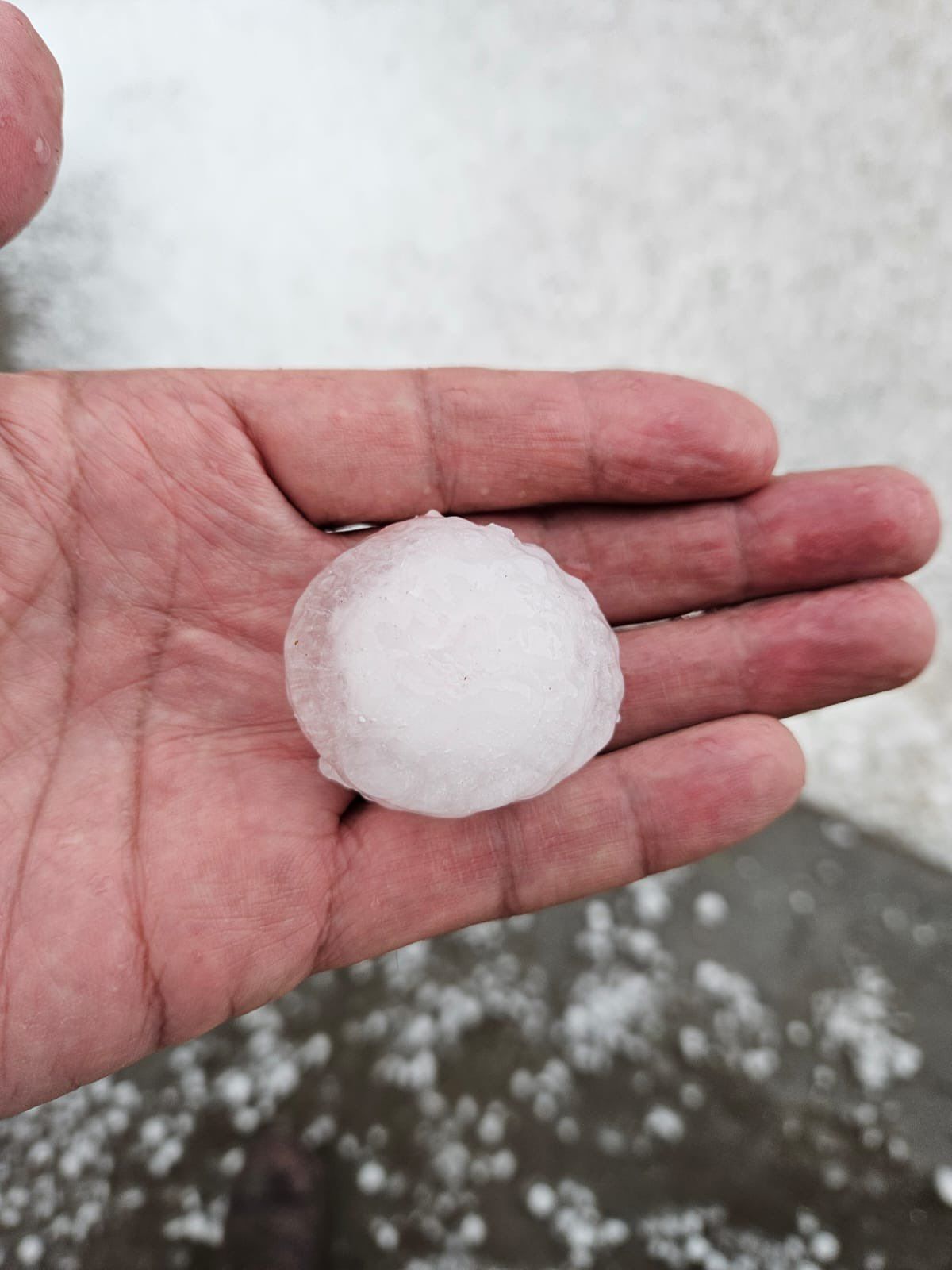 Tomá las medidas necesarias para cuidarte. Tomá las medidas necesarias para cuidarte.