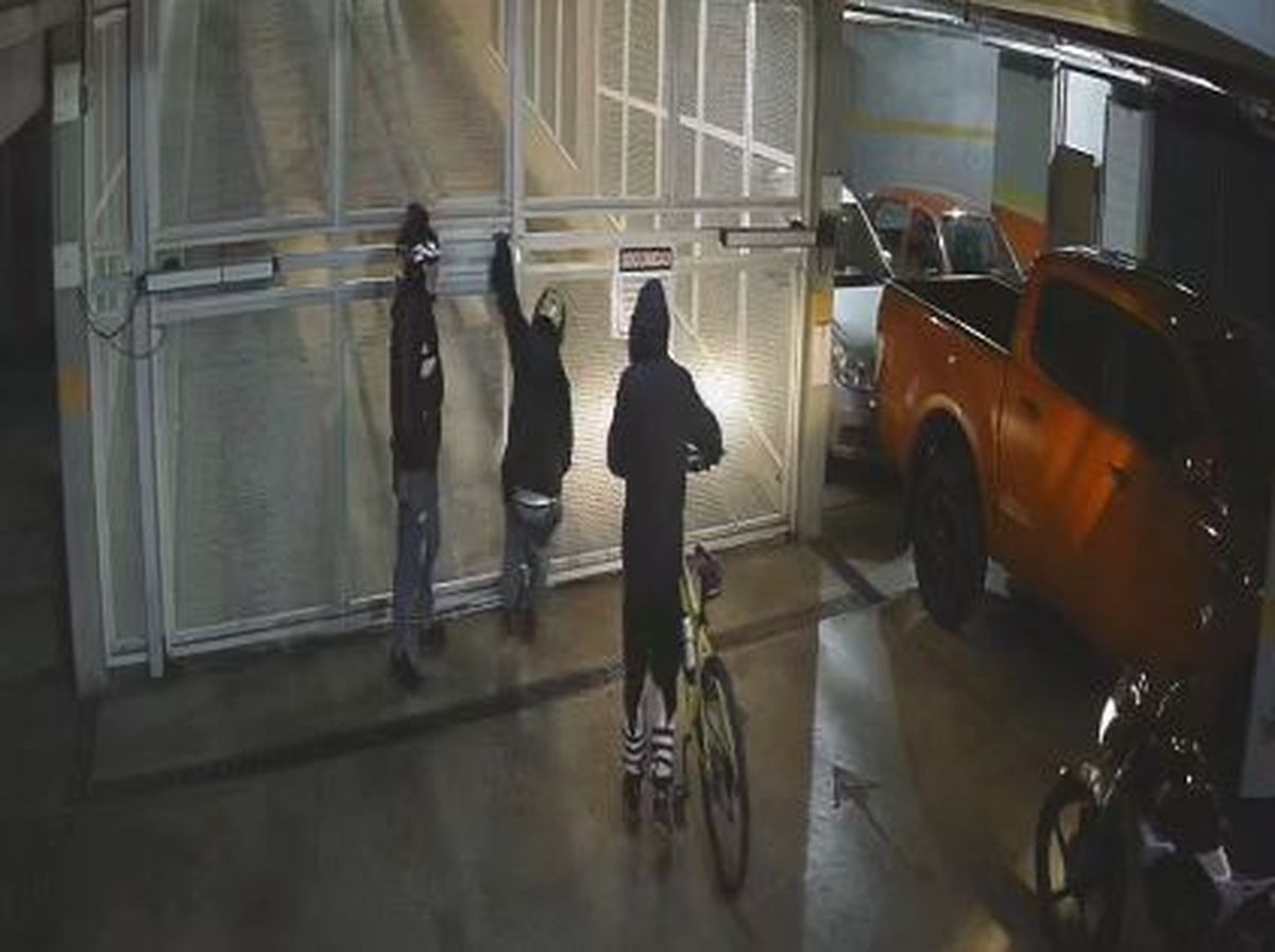 Delincuentes ingresaron al Procrear de Ciudad este martes por la madrugada. Delincuentes ingresaron al Procrear de Ciudad este martes por la madrugada.