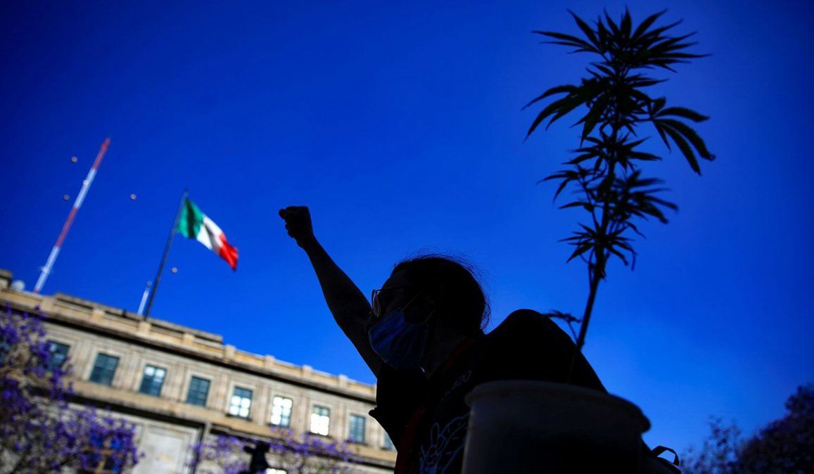 La nuev ley permitirá la portación lícita de hasta 28 gramos de marihuana por persona y autoriza el cultivo casero de hasta ocho plantas