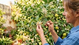 Este truco de jardinería casero aporta grandes beneficios.&nbsp;