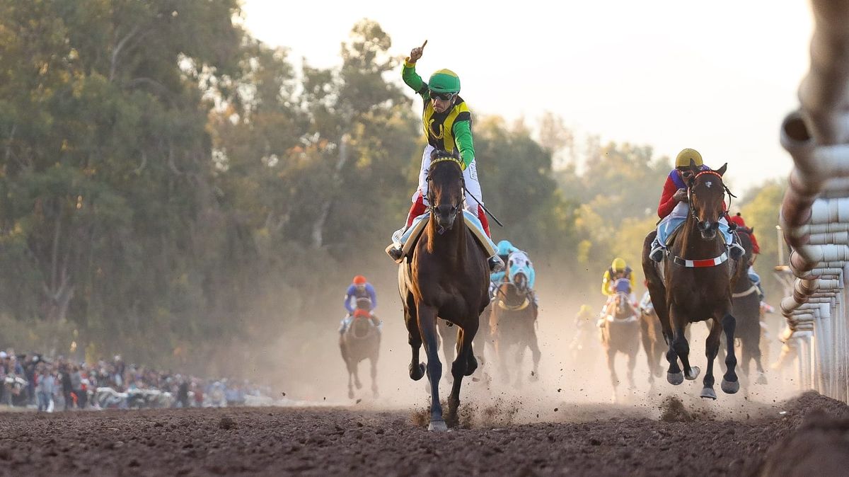 Se corre este domingo una nueva edición del Clásico Vendimia Copa Canal 7 en el Hipódromo de Mendoza