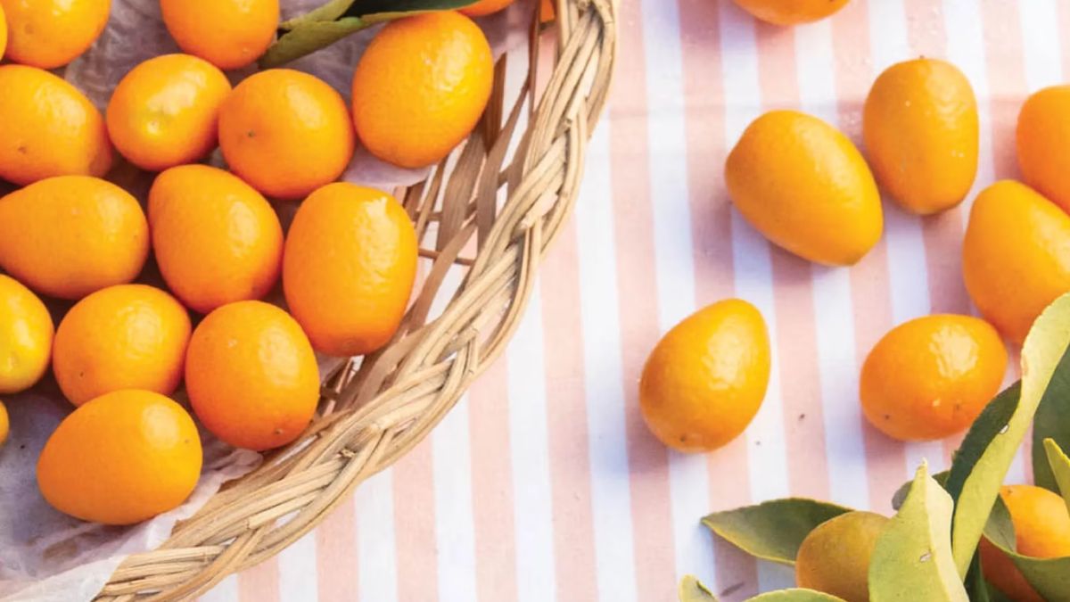 Trucos y tips. Los quinotos tienen su mejor época en julio y se pueden consumir de forma natural o hacer mermelada. Trucos y tips. Los quinotos tienen su mejor época en julio y se pueden consumir de forma natural o hacer mermelada.