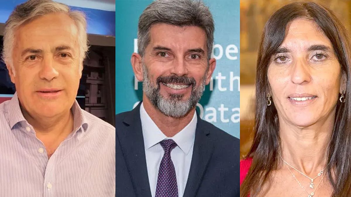 Alfredo Cornejo, Ulpiano Suarez y Natacha Eisenchlas encabezaron las críticas al flamante Unión por la Patria.