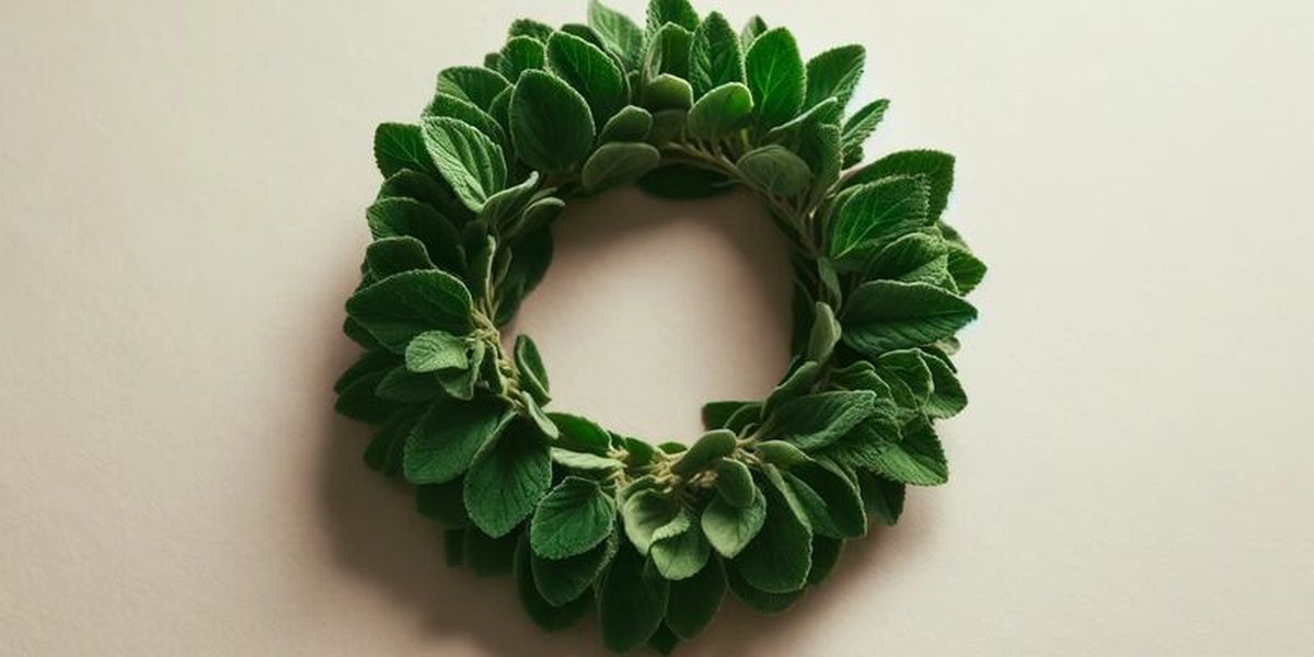Corona de orégano: por qué recomiendan colocarse una cerca de la cama y para qué sirve Corona de orégano: por qué recomiendan colocarse una cerca de la cama y para qué sirve
