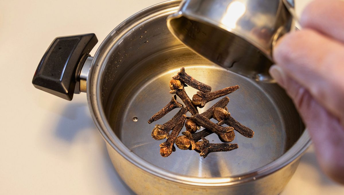 Prepara esta mezcla y guárdala para cuando necesites espantar algún insecto. Prepara esta mezcla y guárdala para cuando necesites espantar algún insecto. 